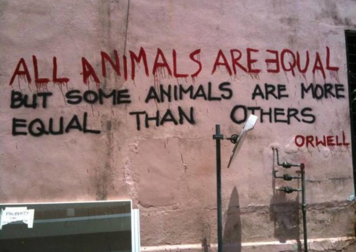 La fattoria degli animali