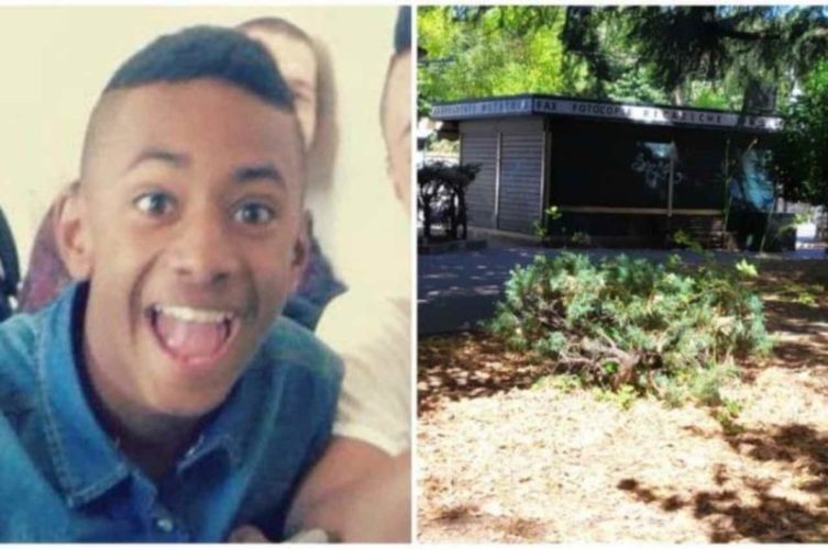 Willy, vittima rissa