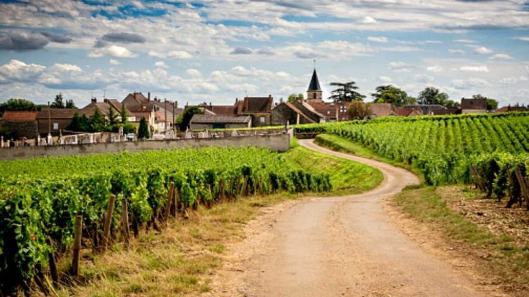 Film Non è un paese per vecchi