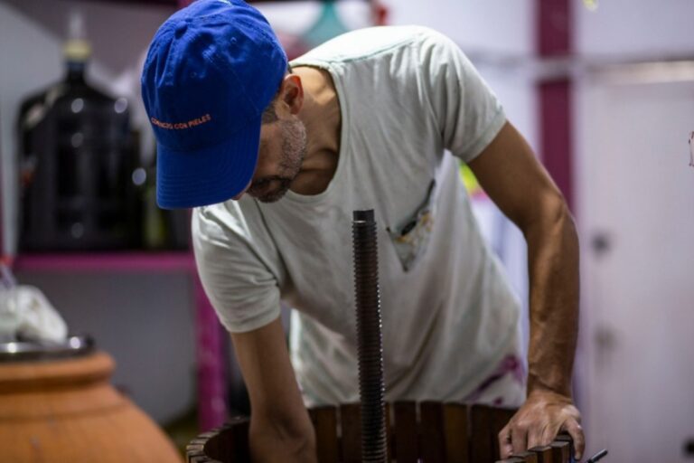 Vinos naturales dos miradas